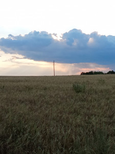 jtqudvqvwp54ouq1ncldn4j6zrvvtqyzaxi9lkje8mia6uova7ku2d3xnbi8czt3mjkn4ee5mjg0ahnyezaufogj